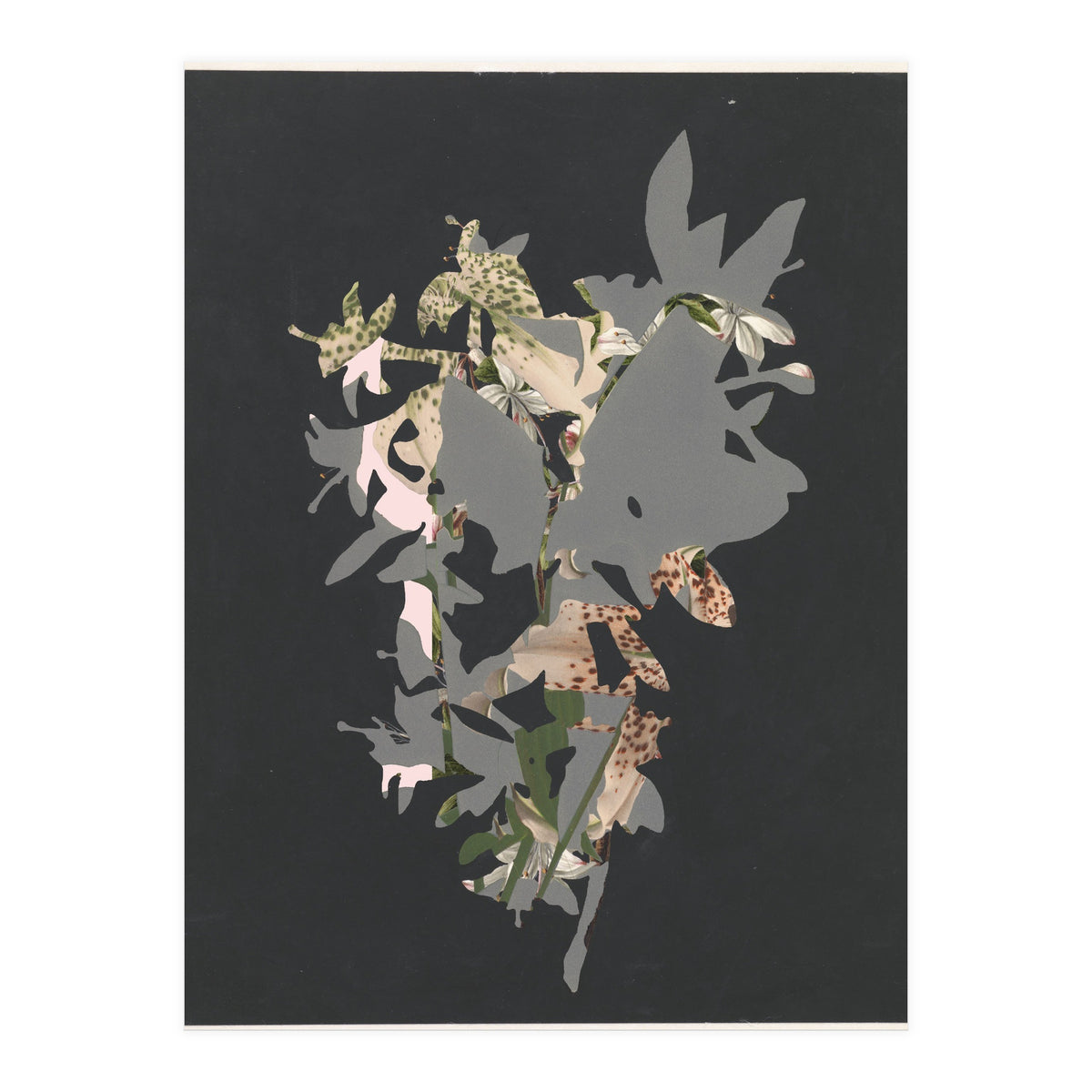 The First Plant · Black (Print Only)