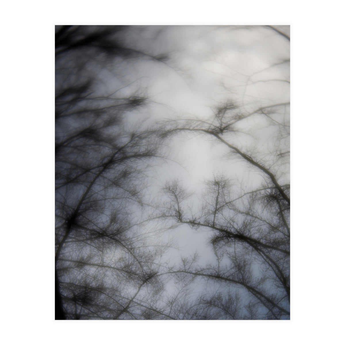 Forgotten Memories of Summer #16 (Print Only)