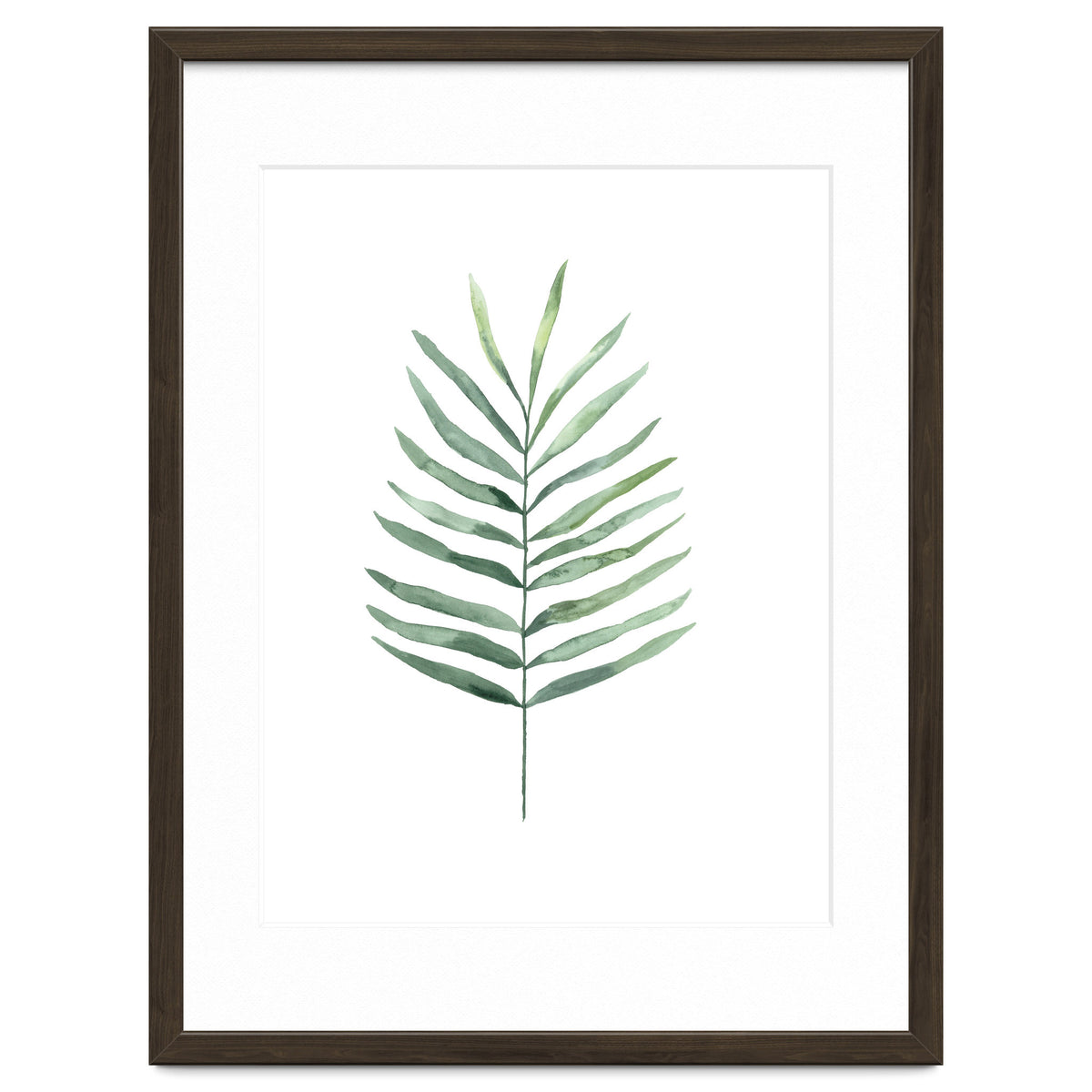 Botanical Illustration Fern