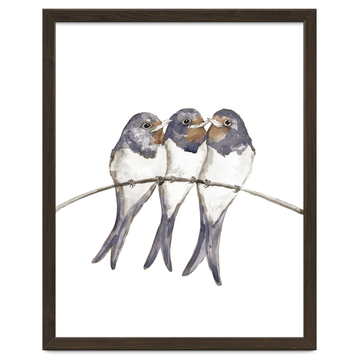 Three young swallows