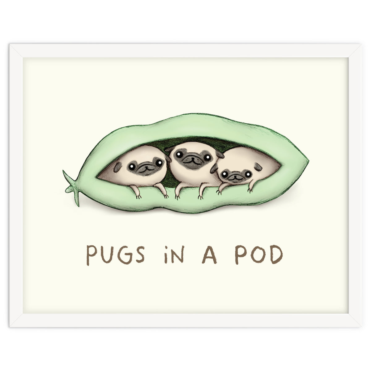 Pugs In A Pod