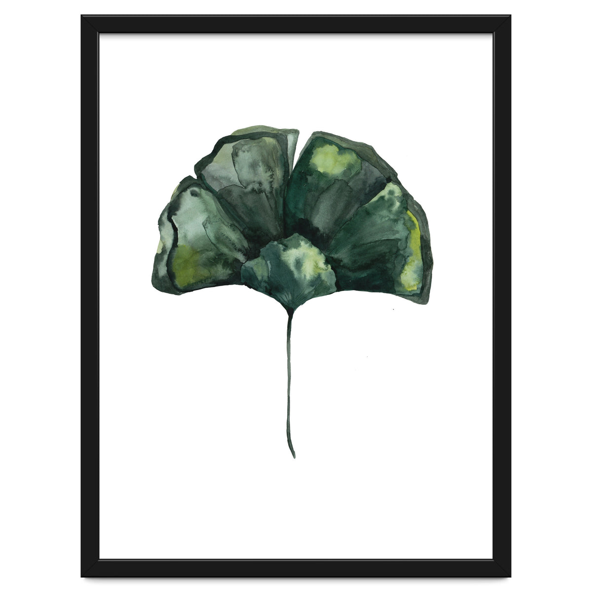 Botanical Illustration Ginko