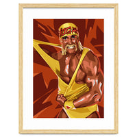 Hulk Hogan WWE