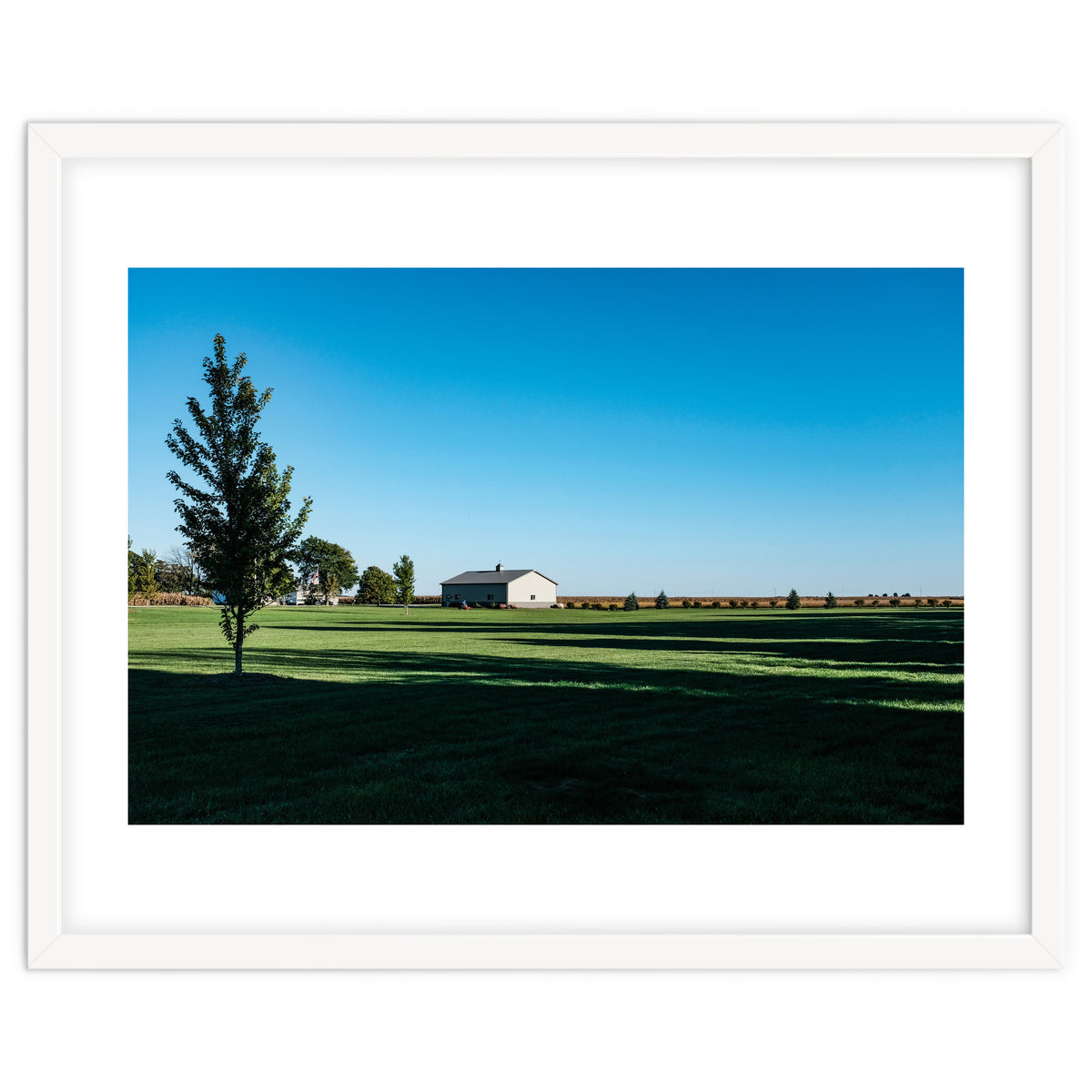 Summer evening, rural Illinois