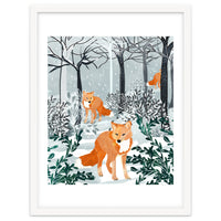 Fox Snow Walk