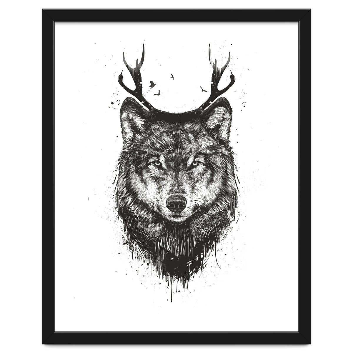 Deer Wolf Bw