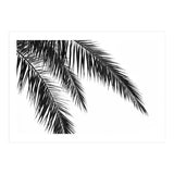 Palm Leaves (Print Only) thumbnail