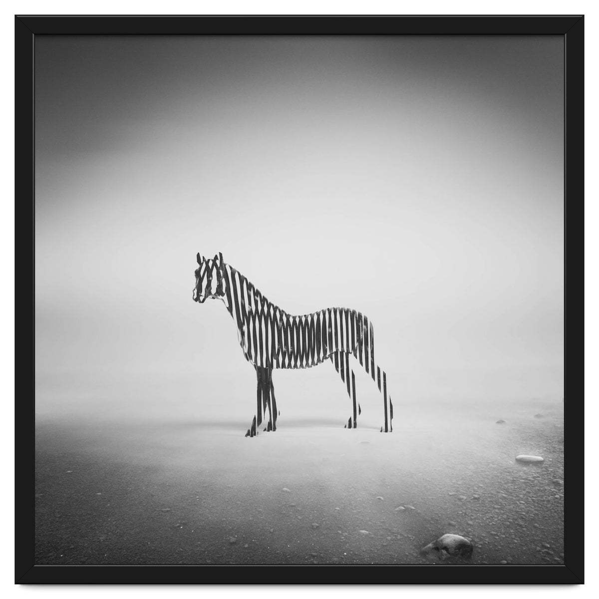 Zebra Mist