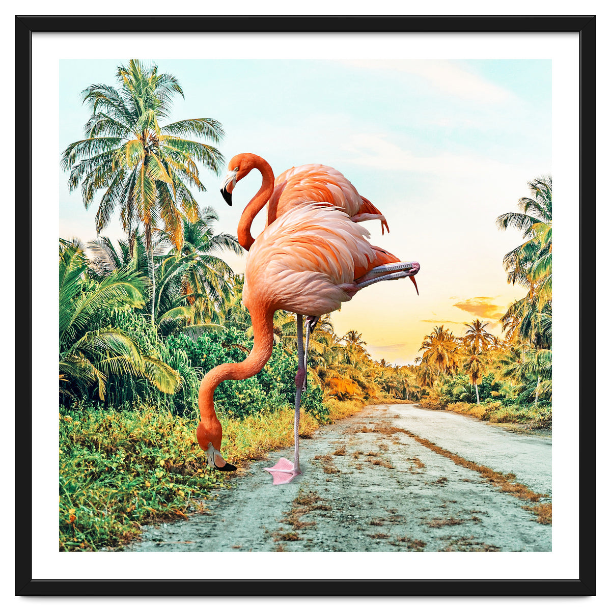 Flamingo Vacay