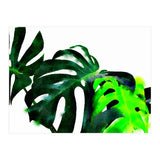 Fresh Leaves (Print Only) thumbnail