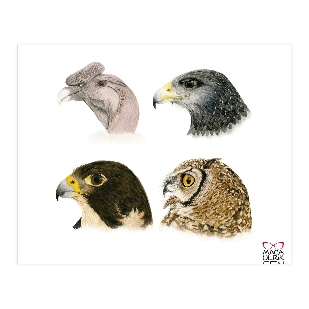 Profile raptors (Print Only)