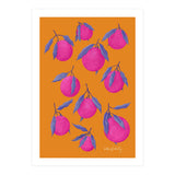 Pink Citrus (Print Only) thumbnail