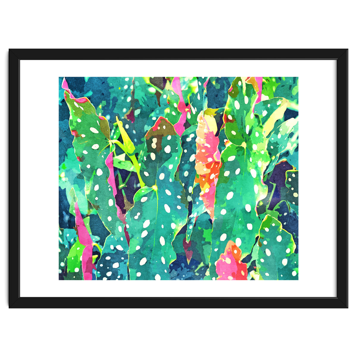 The Polka Dots Plant