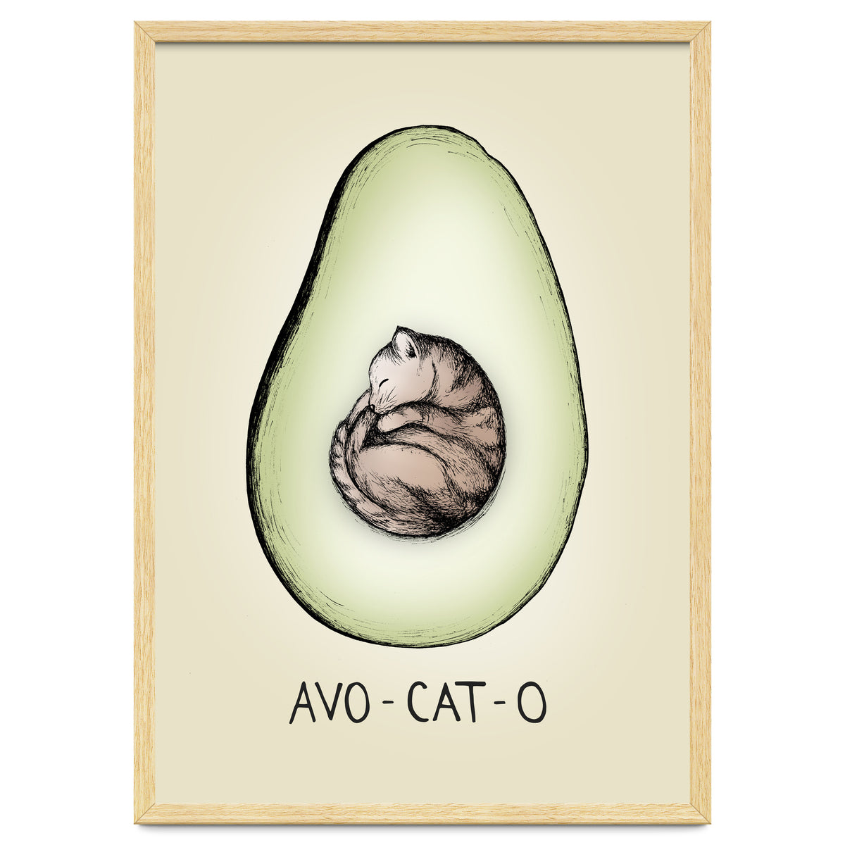 Avo-cat-o