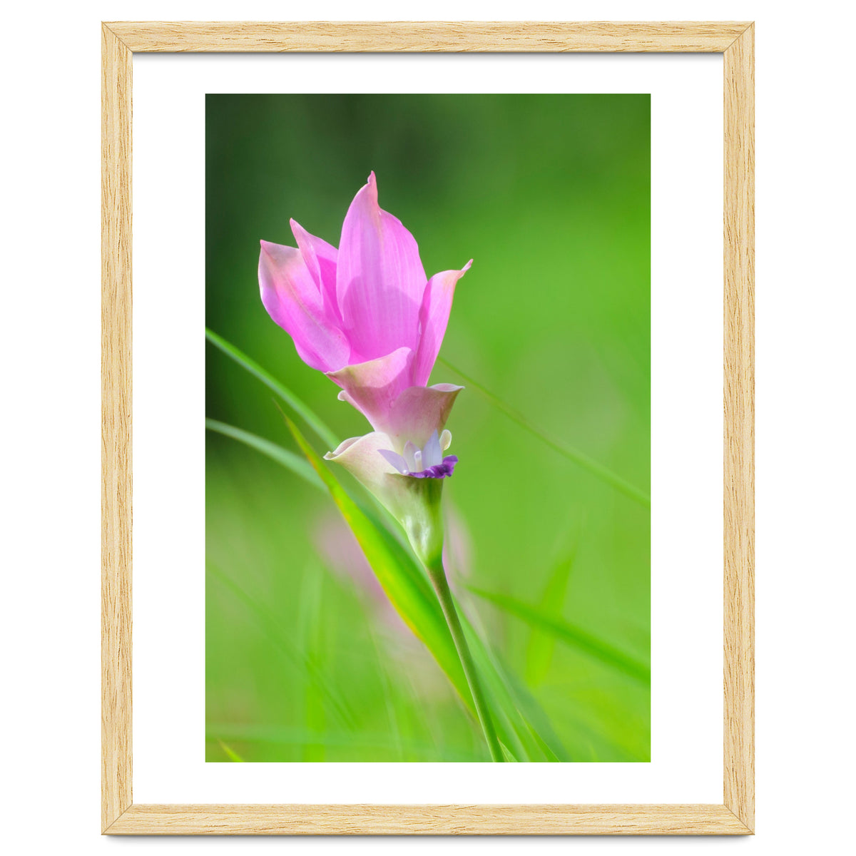 Nature 4000x6000 (12)