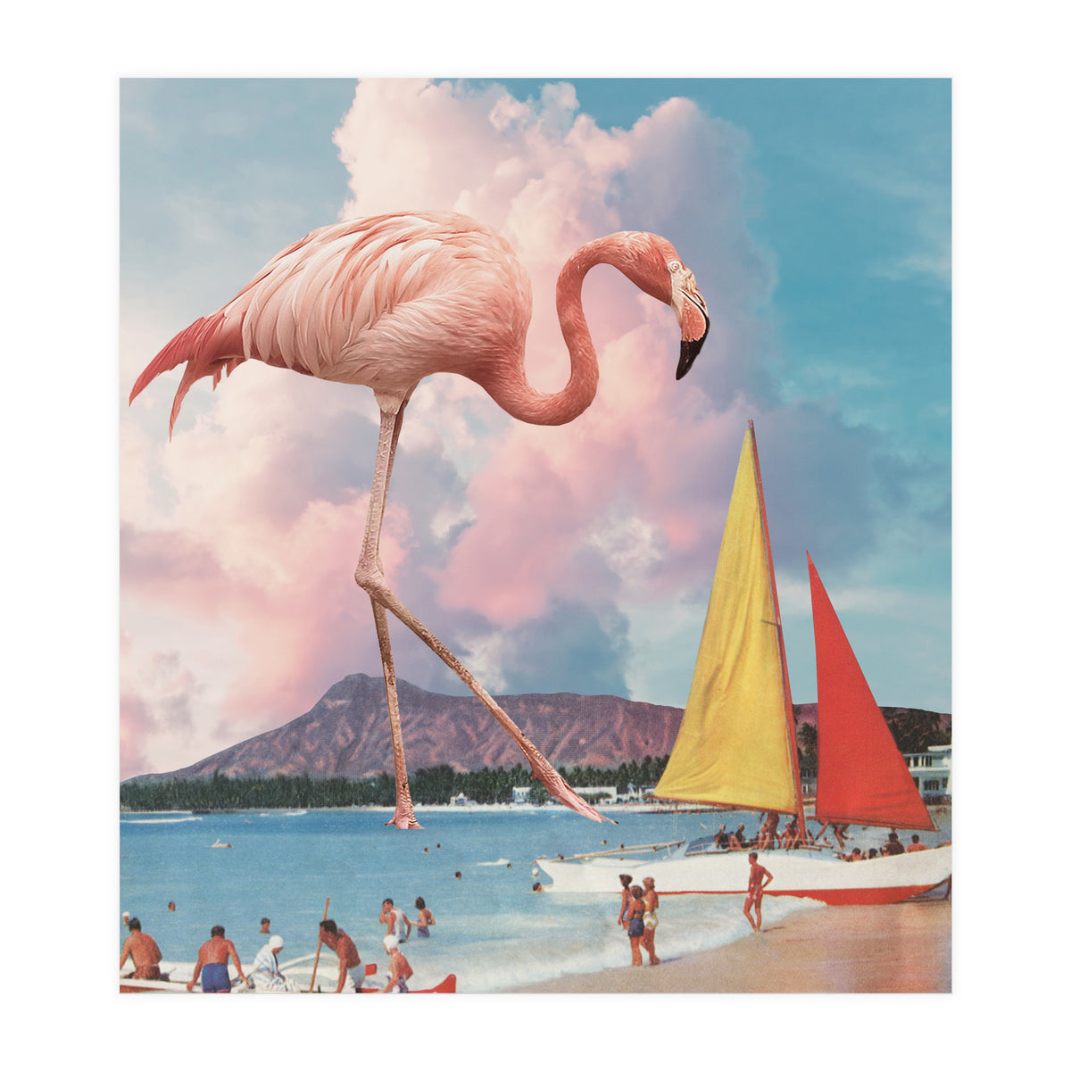 Flamingo Playground (Print Only)