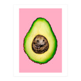 Hedgehocado (Print Only) thumbnail