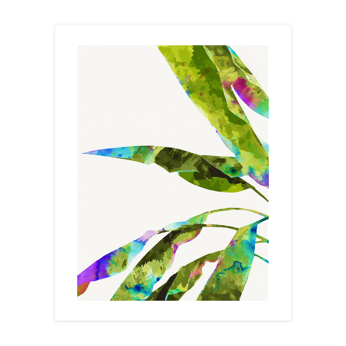 Banana Leaves Holi (Print Only)