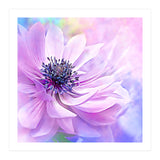 Wispy Purple Anemone (Print Only) thumbnail