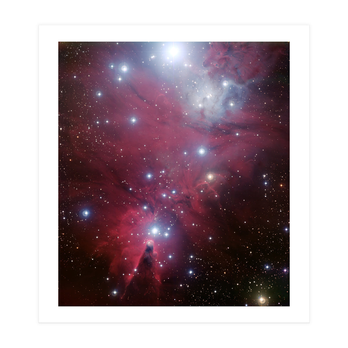 The Christmas Tree Cluster (Print Only)