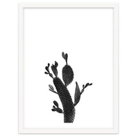 Cactus Black And White 02