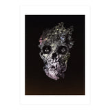 Metamorphosis  (Print Only) thumbnail