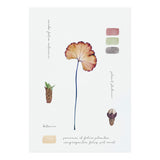 Botanical Notes (Print Only) thumbnail