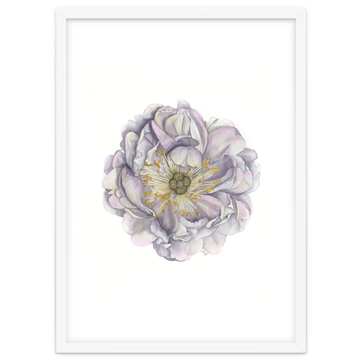 A Peony In Grey Std