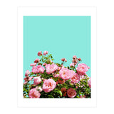 Blissful (Print Only) thumbnail