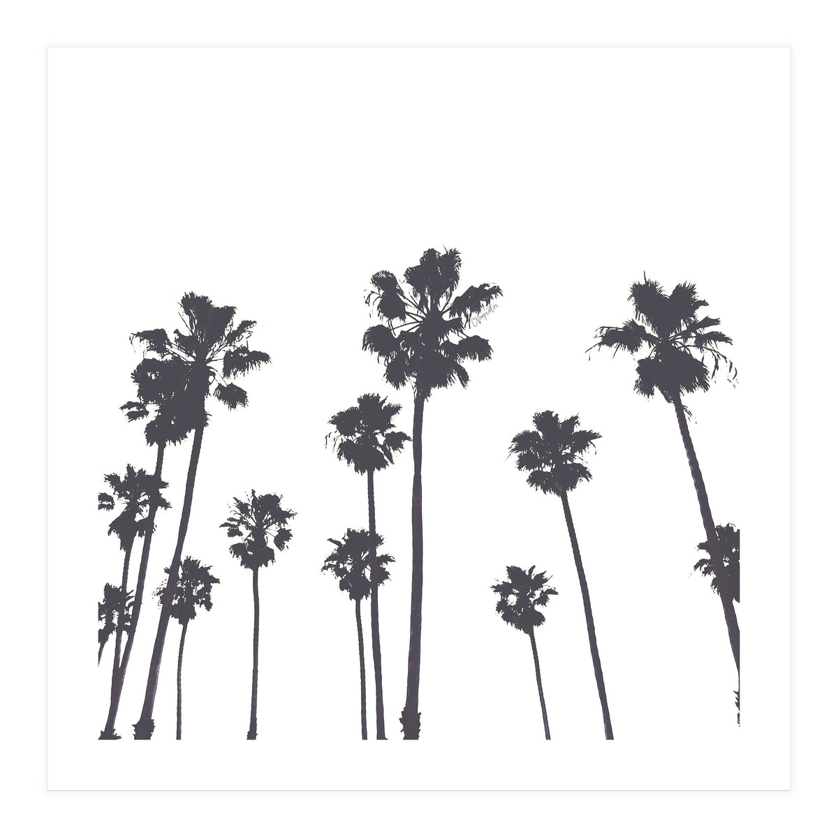 Palms & Sunset-Minimal B&W (Print Only)