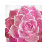 Rough Beauty 4 (Print Only) thumbnail