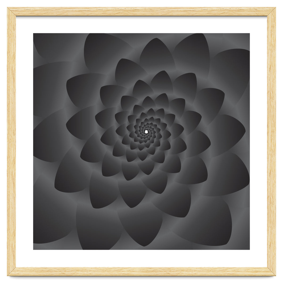 3 D Modern Black Floral