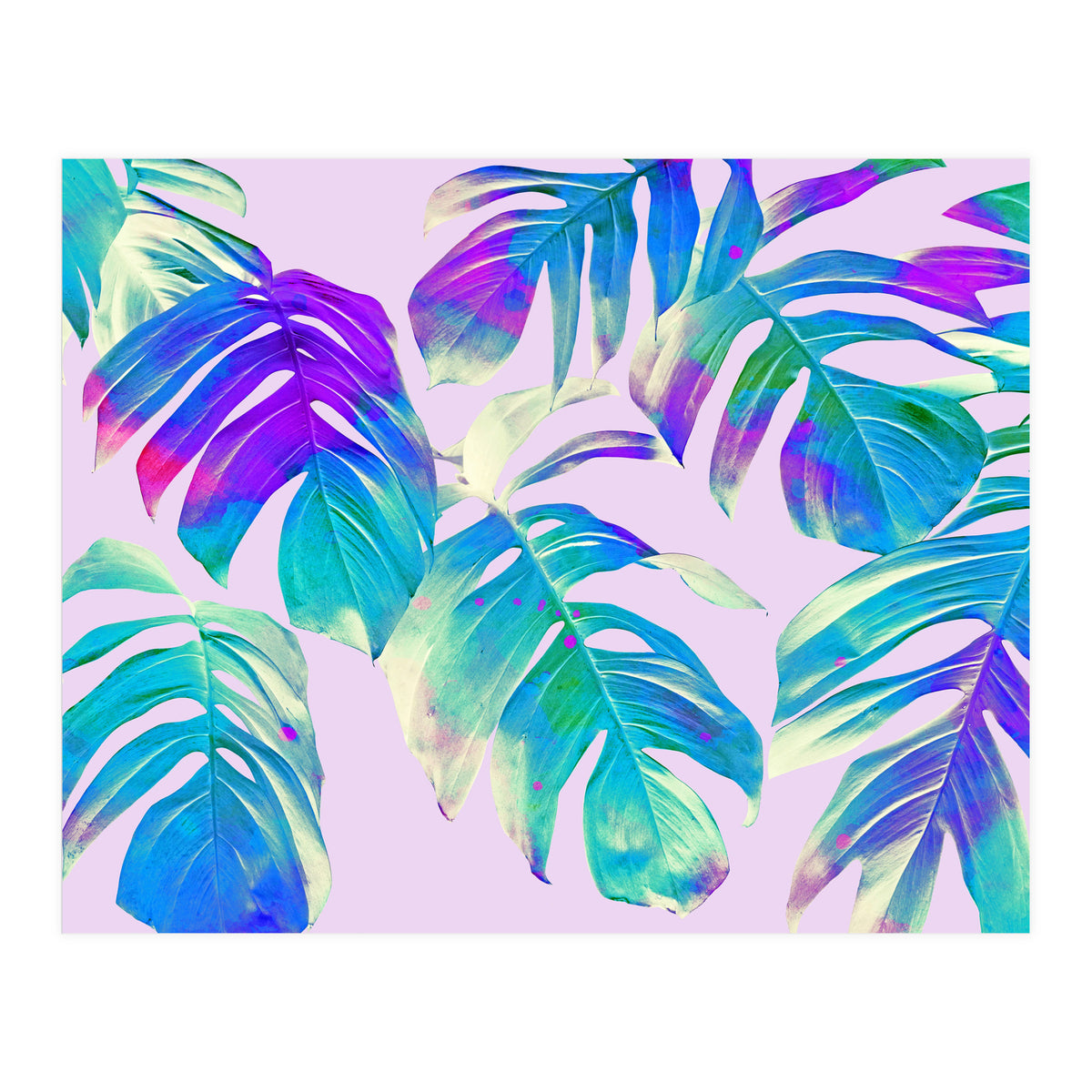 Monstera Leaves (Print Only)