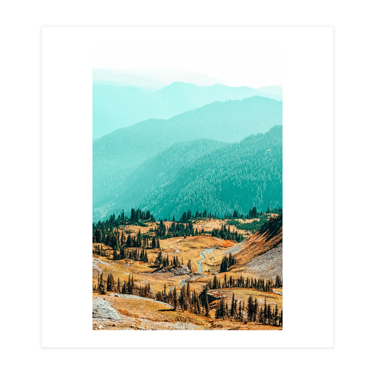 Delight Ii (Print Only)