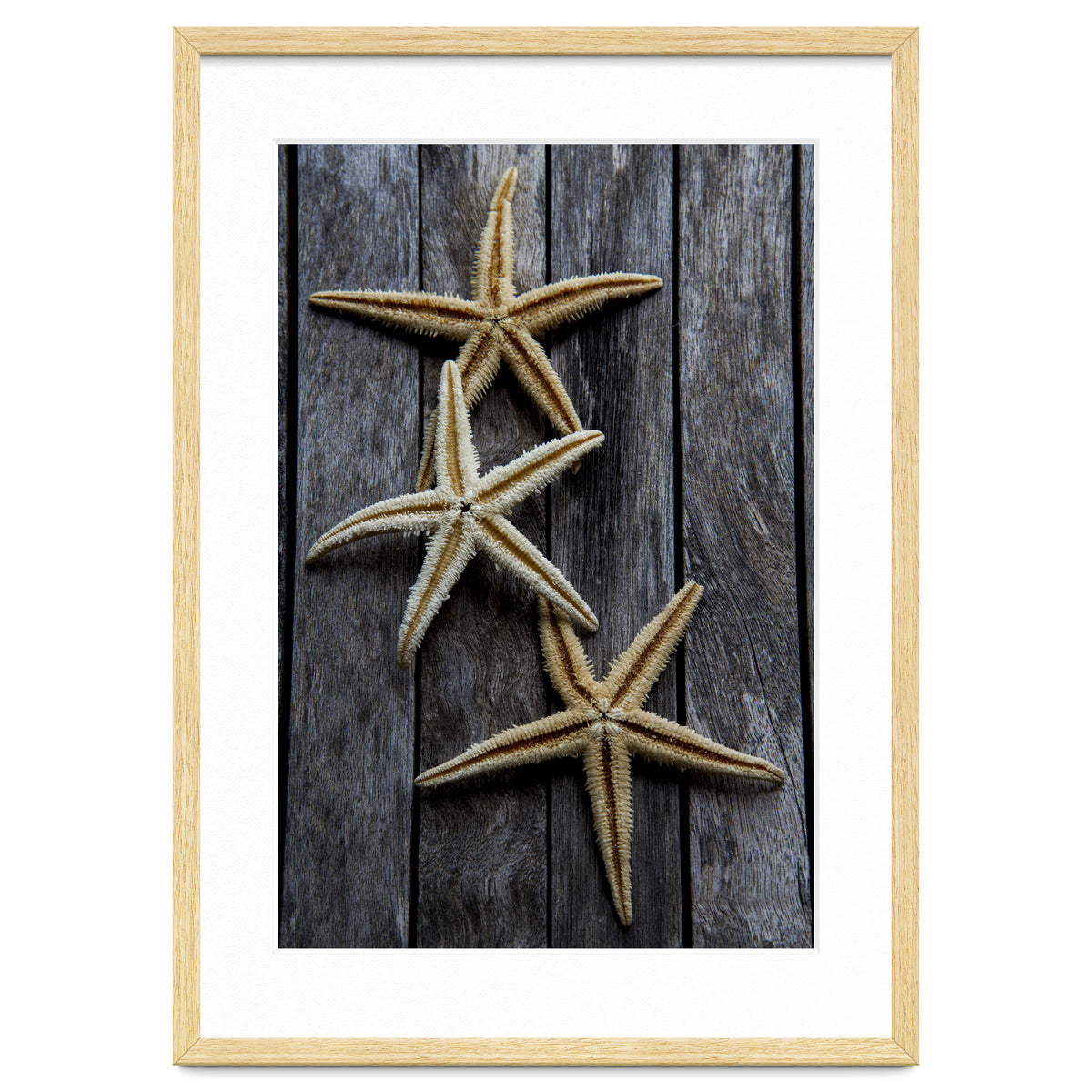 Starfishes in wooden