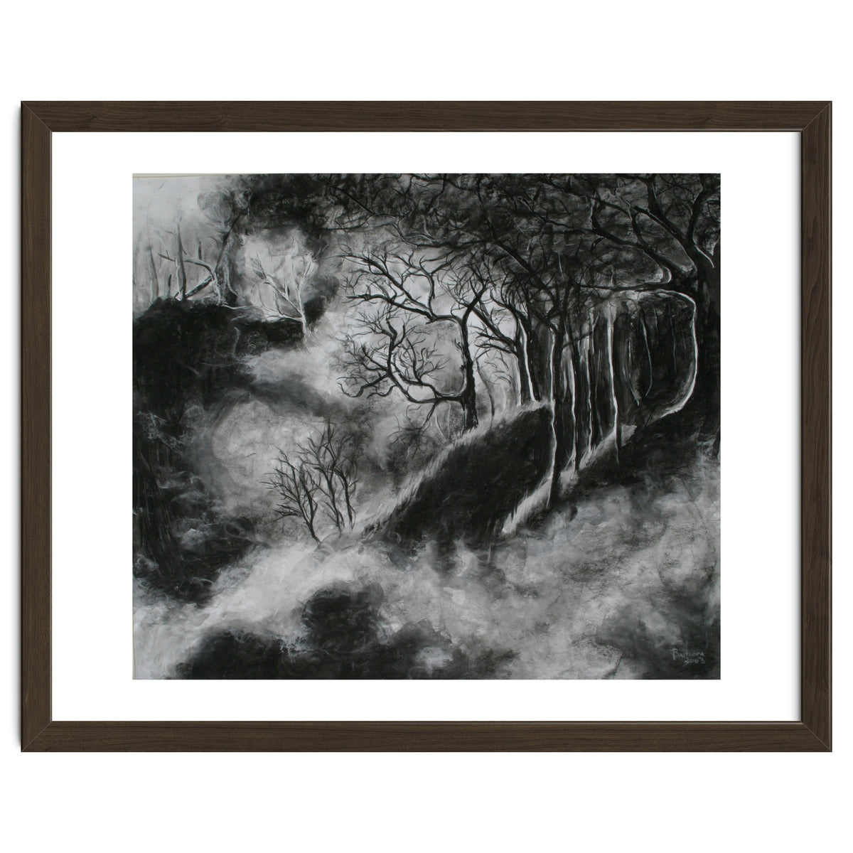 Black and White Forest in Clouds