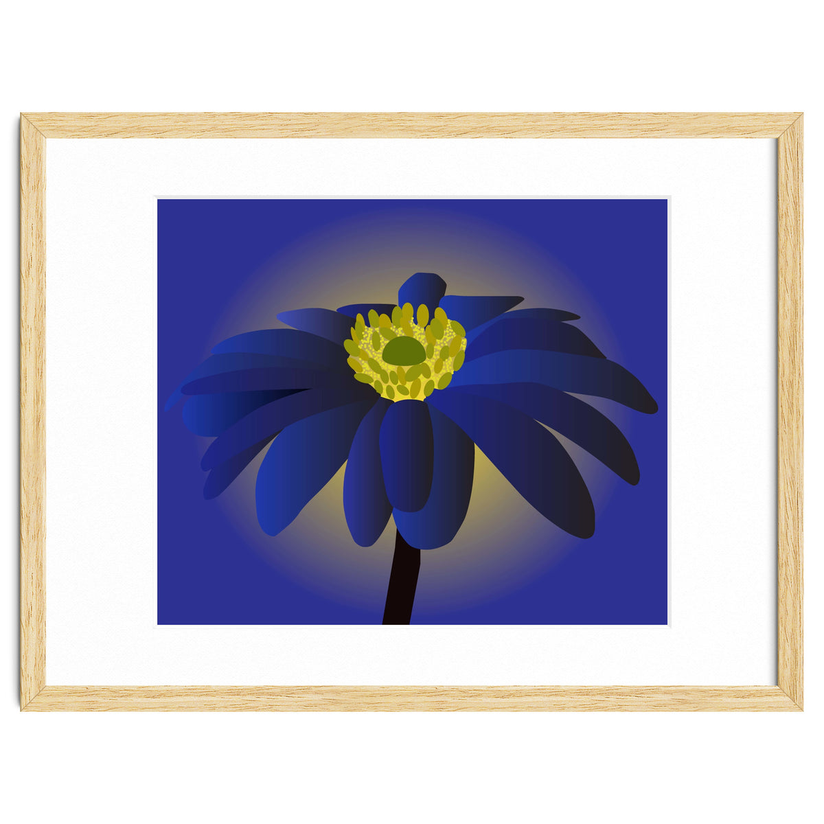 Anemone Blanda Flower Art