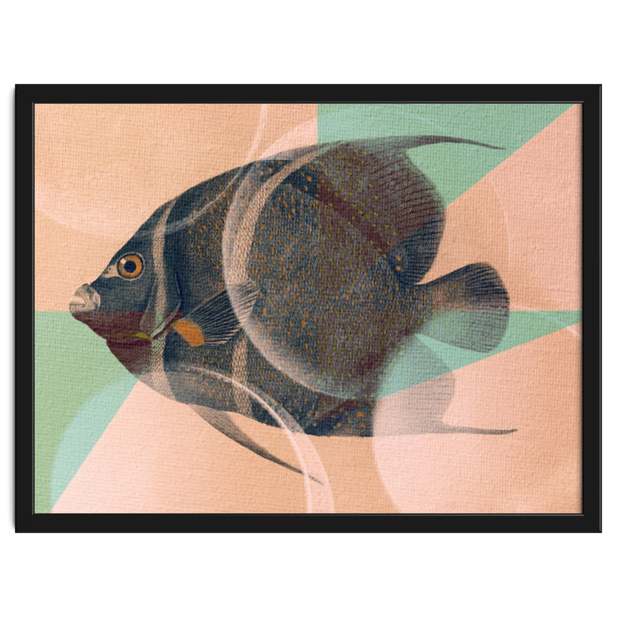 Fish Between Circles 2