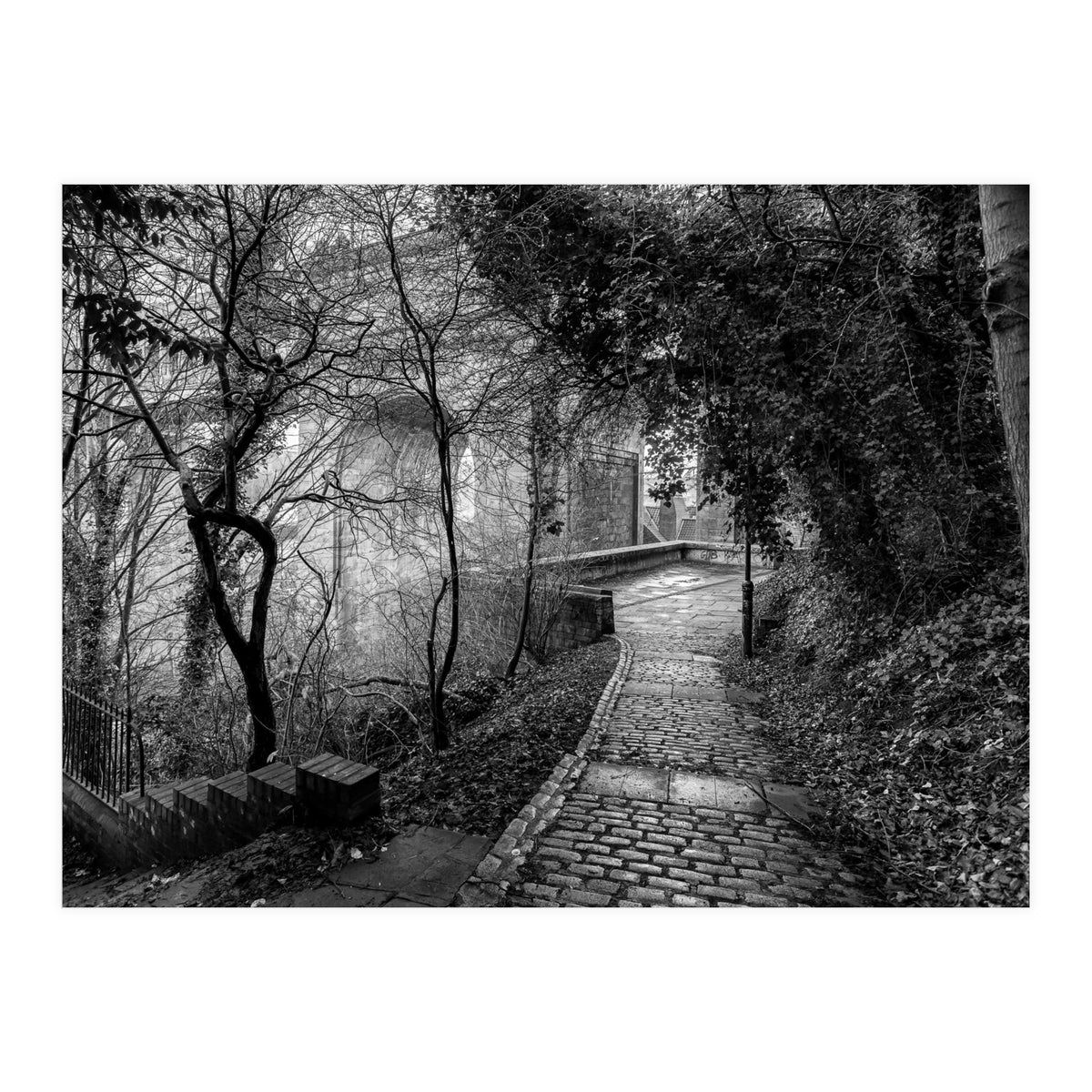 Monochrome path (Print Only)