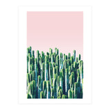Cactus & Sunset I (Print Only) thumbnail