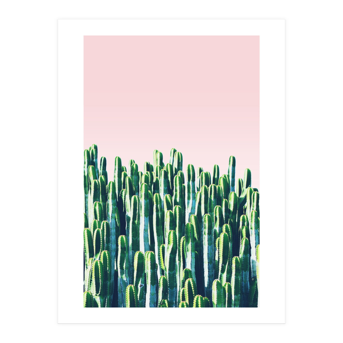 Cactus & Sunset I (Print Only)