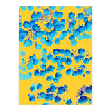 Bananans & Blue (Print Only) thumbnail