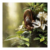 Sound Of Nature (Print Only) thumbnail