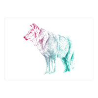 Wolf  (Print Only)