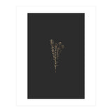 Moody Golden Botanicals (Print Only) thumbnail