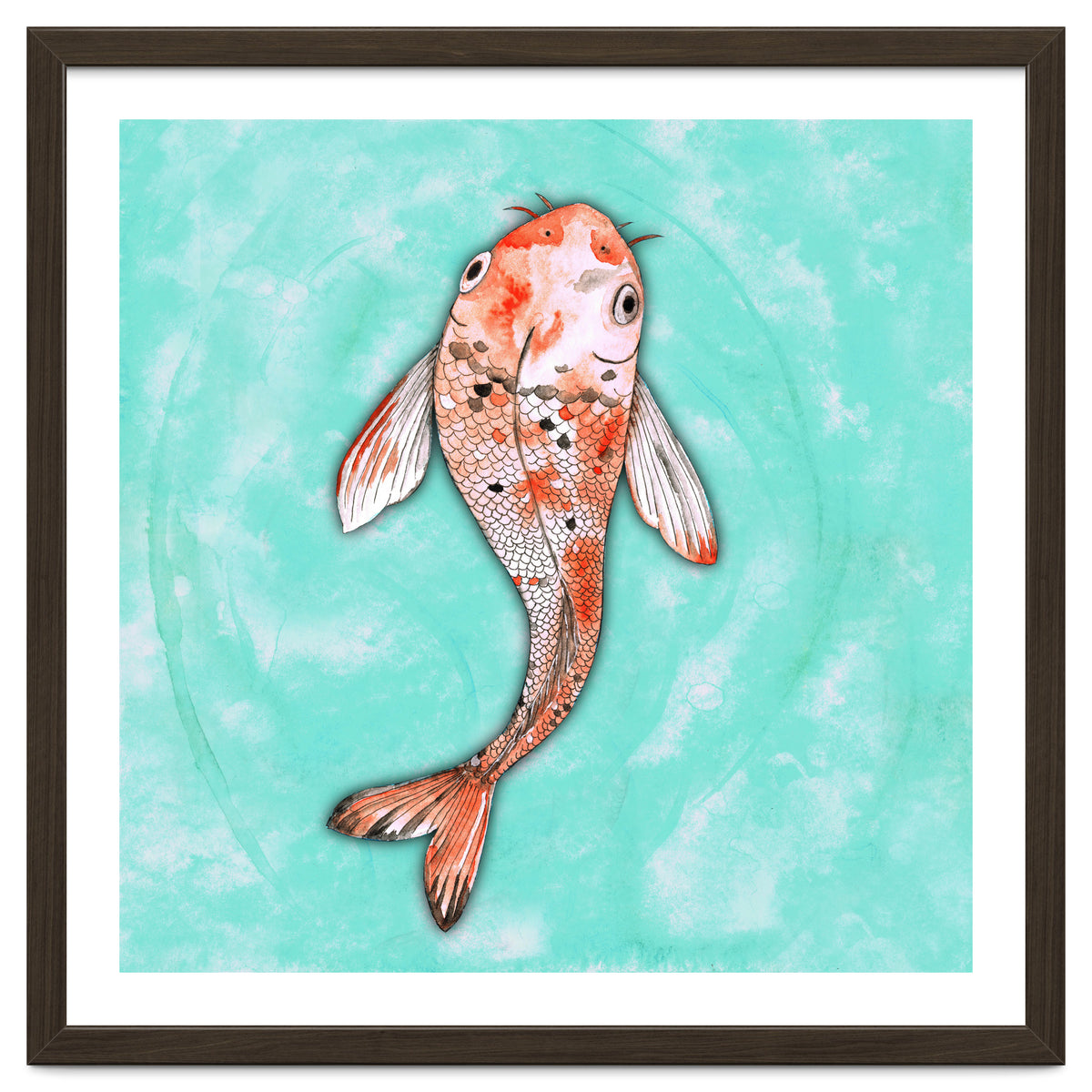 Koi fish