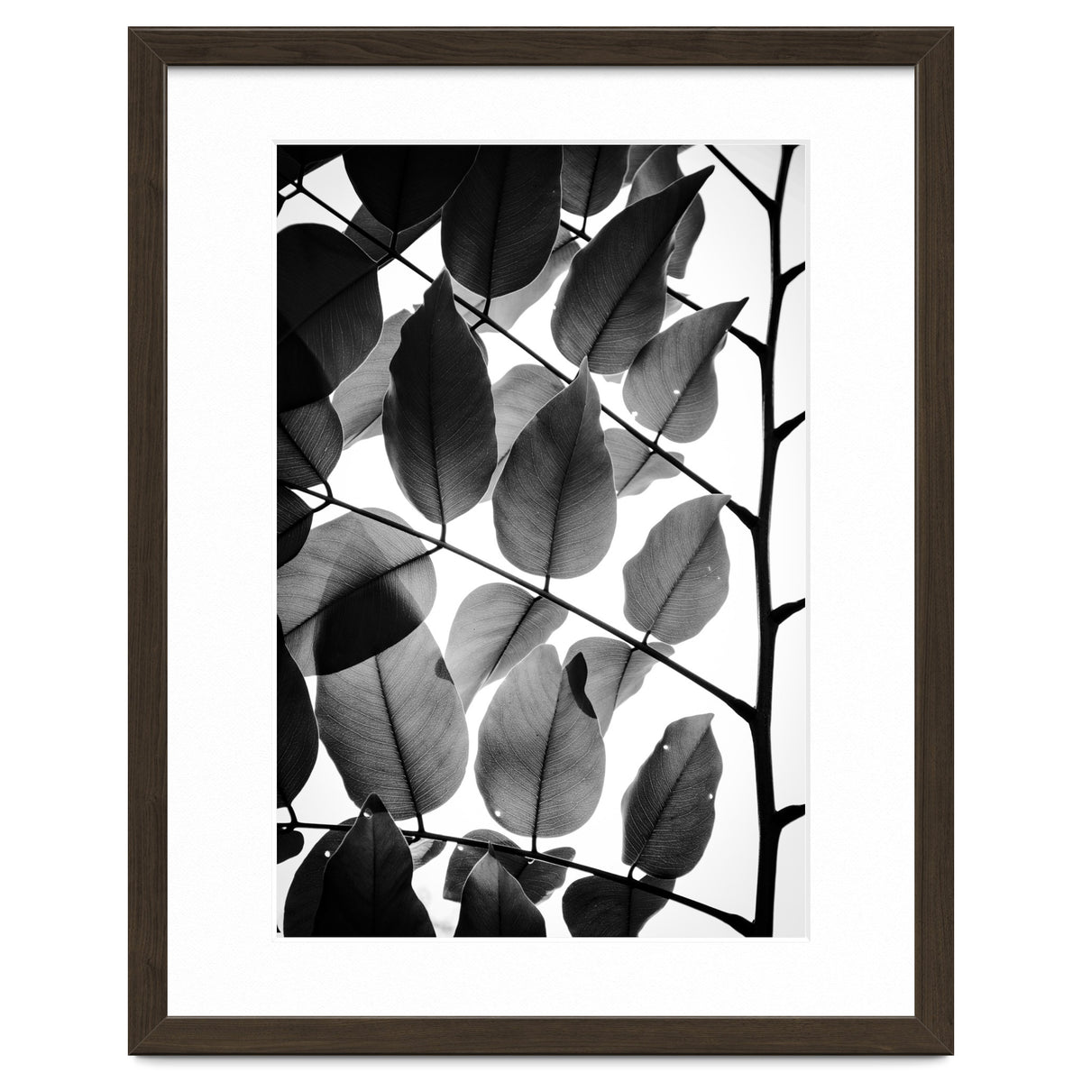 Branches and Leaves II