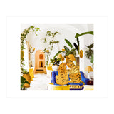 Tiger Reserve (Print Only) thumbnail