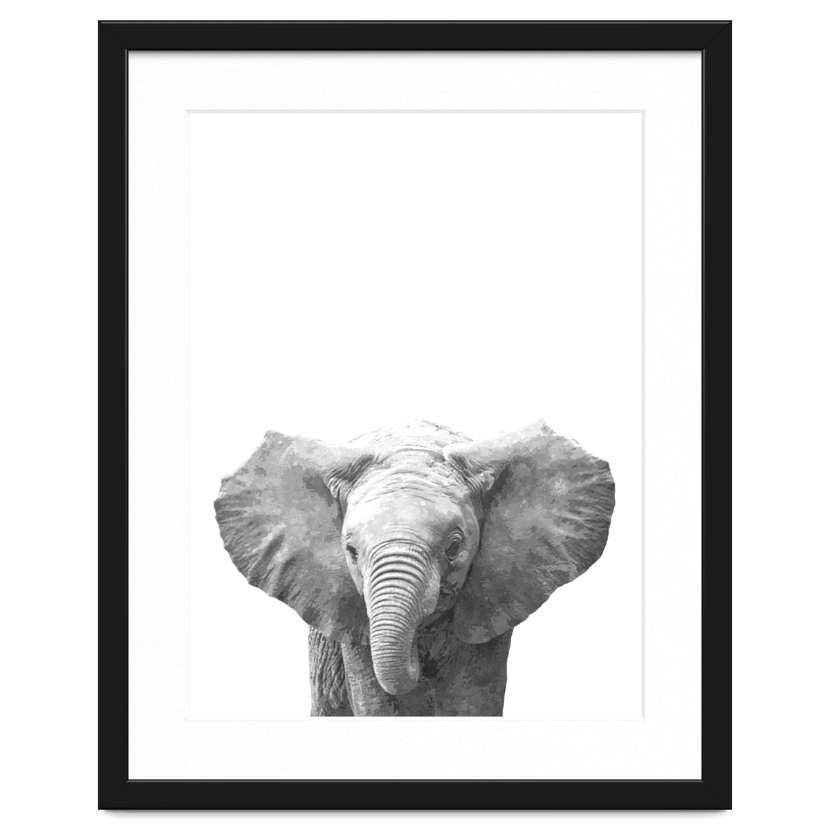 Black and White Baby Elephant
