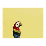 Parrot (Print Only) thumbnail